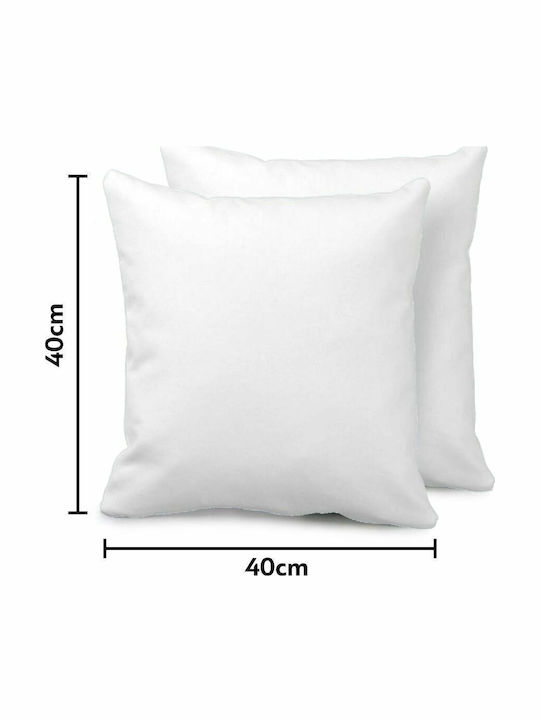 Ο Μπλέιζ Οι Φίλοι Του Μαξιλάρι Καναπέ 40x40cm Περιέχεται Γέμισμα