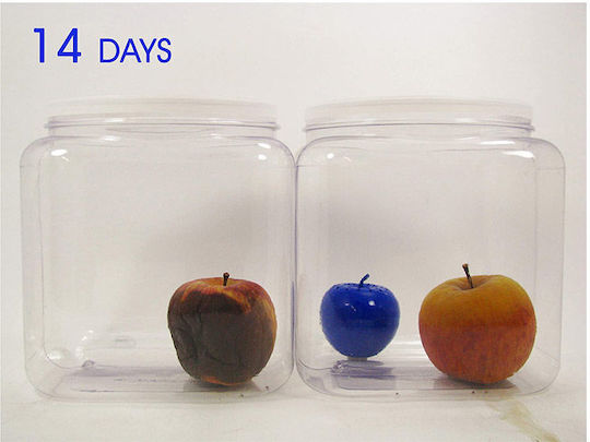 Blue Apple Fruit & Vegetable Protection Set – 2 Pieces