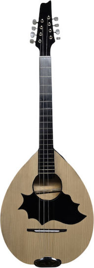 Acoustic Mandolin