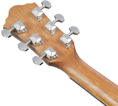 Ibanez Acoustic Guitar Natural / Open Pore