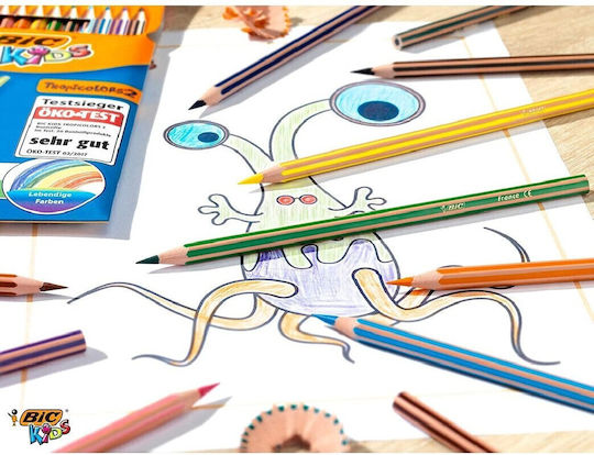 BIC Kids Evolution Stripes Colored Pencil Set Package of 1 packages
