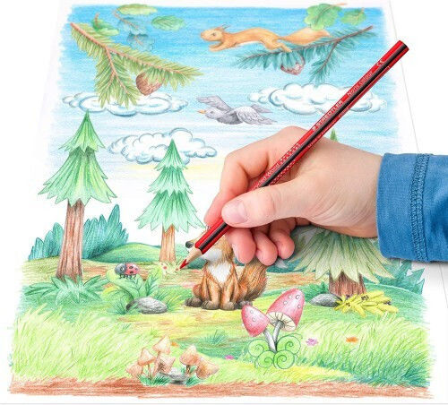 Staedtler Noris Colour Colored Pencil Set Package of 1 packages