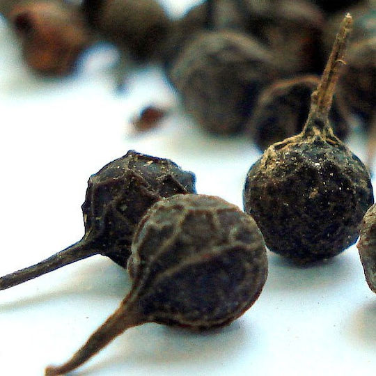 Cubeb Pepper Indonesia 50 Gr