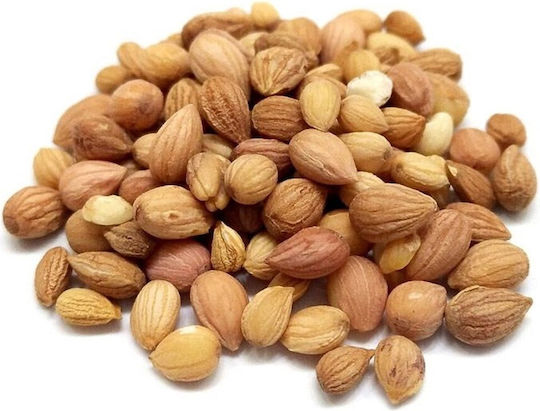Μπαχαραδικο Μαχλέπι Ολόκληρο 500gr