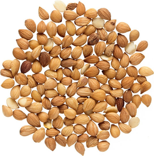Mahleb Vollständig Mardin Türkei 50 g