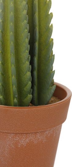 Plantă Suculentă În Ghiveci 14cm 8.5x8.5x14cm Verde Kaeming Plantă Suculentă În Ghiveci 14cm 8.5x8.5x14cm Verde Kaeming