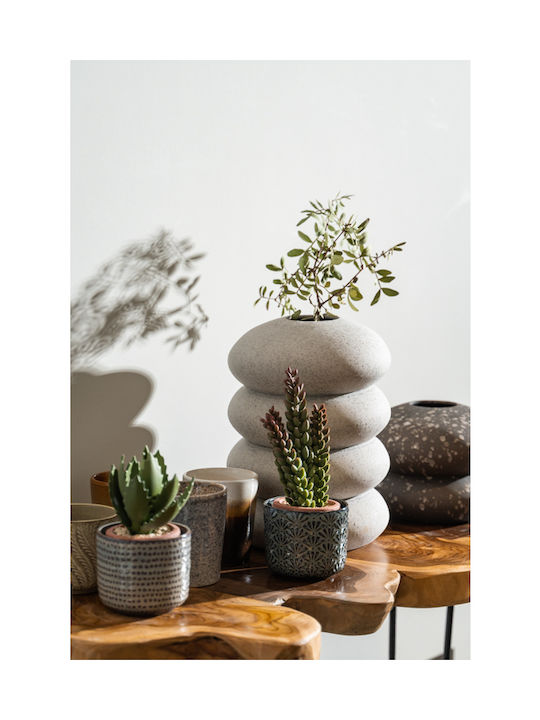 Plantă Suculentă În Ghiveci 23cm 8x8x23cm Verde Kaeming