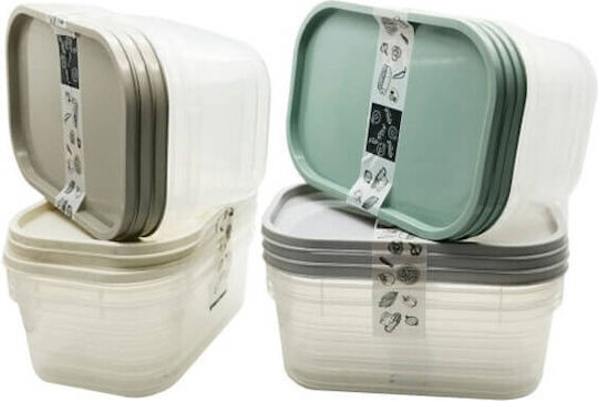 Array Set Lunch Boxes 2 Pieces