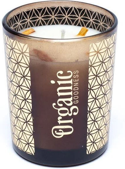 Αρωματικό Κερί Σόγιας Organic Palo Santo & Κέδρος 550g