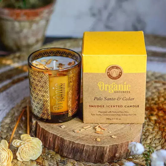 Αρωματικό Κερί Σόγιας Organic Palo Santo & Κέδρος 550g