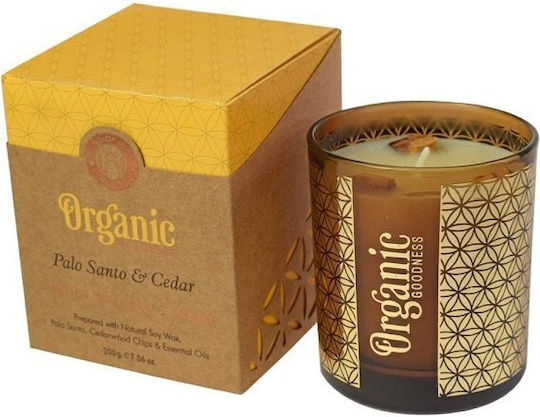 Αρωματικό Κερί Σόγιας Organic Palo Santo & Κέδρος 550g