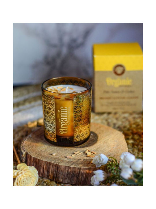 Aromatisches Soja-Kerze Organic Palo Santo & Kiefer 550g