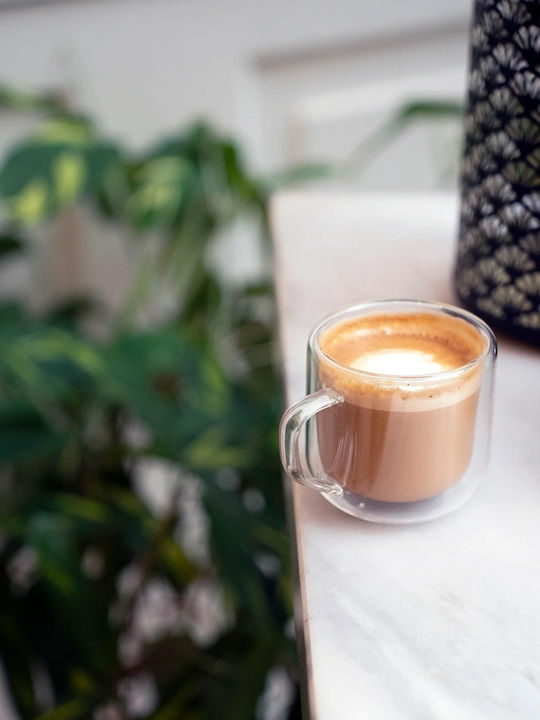 Luigi Bormioli Cup Cappuccino Glass Transparent