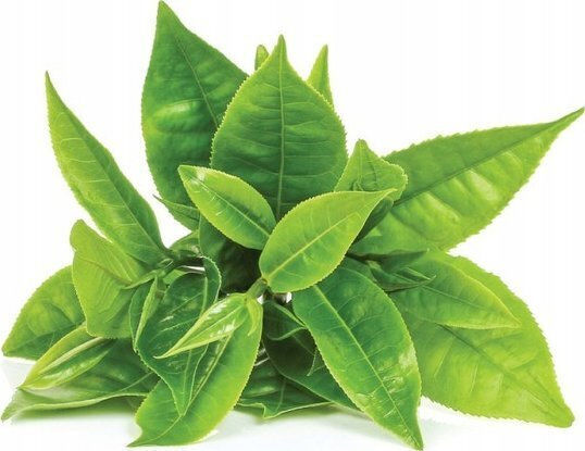 Moya Matcha Moya Αξεσουάρ Τσαγιού