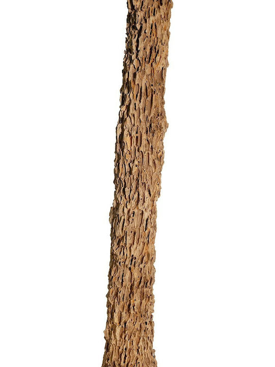 Decorative Raw Wood 153cm
