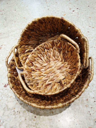 Set Of 3 Wicker Decorative Bowls R19060