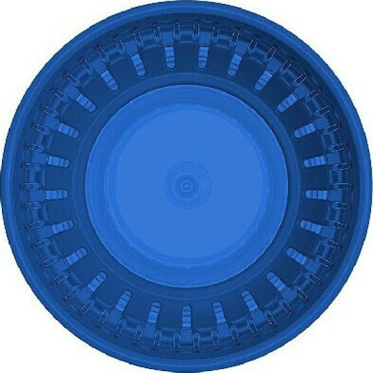 Dr. Brown's Baby Cup made of Plastic Blue 300ml for 9m+m+