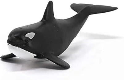 Schleich-S Baby Orca for 3-8 Years 3.8cm (Miscellaneous Designs)