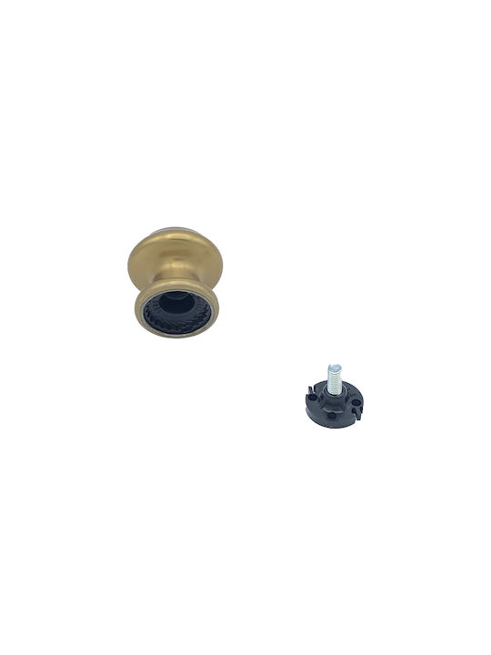 Saguatti Μπουλ Εξώπορτας Polished Bronze