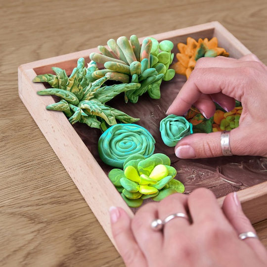Diy Creative Wood & Craft Clay Construction Set Suculente Energie