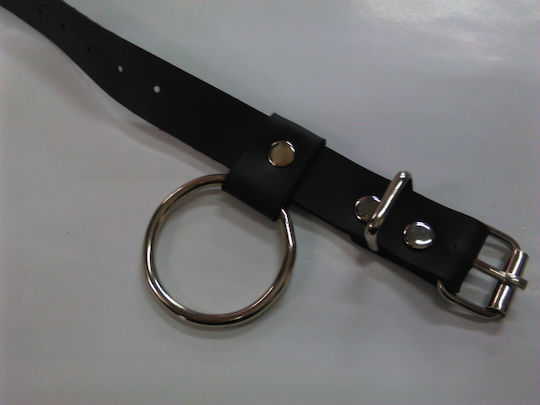 Bdsm Penisring mit Lederband Ein Metallischer Ring | Skroutz Germany Bdsm Penisring mit Lederband Ein Metallischer Ring | Skroutz Germany