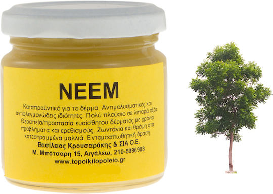Neem or Indian Lilac Herbal Oil 100ml
