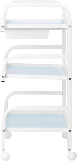 Beauty Roll Hair Salon Maintenance Cart