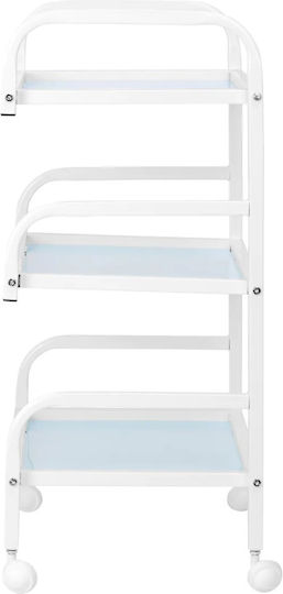 Beauty Roll Hair Salon Maintenance Cart