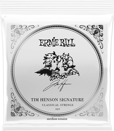 Ernie Ball Μονή Χορδή για Μπάσο