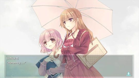 Nurse Love Obsession Switch Game