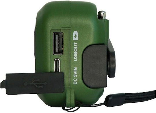 Blaupunkt ER20 cu USB Verde