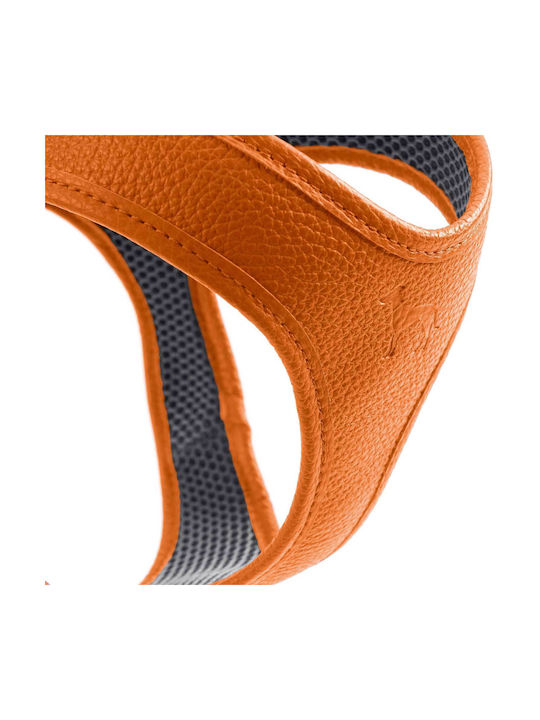 Δερμάτινο Σαμαράκι Hunter Harness Geschirr Hilo 33-37/xs Orange