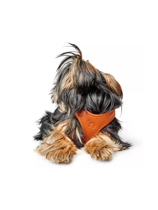 Δερμάτινο Σαμαράκι Hunter Harness Geschirr Hilo 33-37/xs Orange