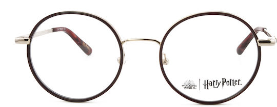 Harry Potter Hp021 Er