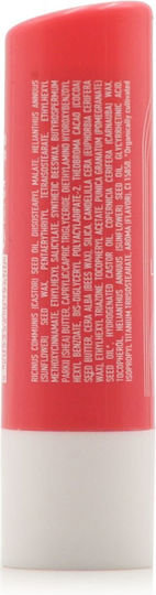 Pharmalead Lip Care 5gr