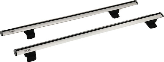 Auto Gs (with Roof Rack Legs and Lock) Silver