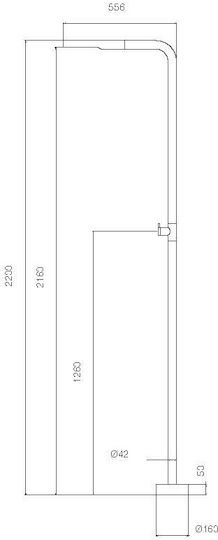 Imex Pool Shower Silver