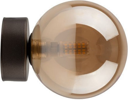 TK Lighting Estera Wandleuchte mit Lampenbirnensockel G9 Gold 12x12cm