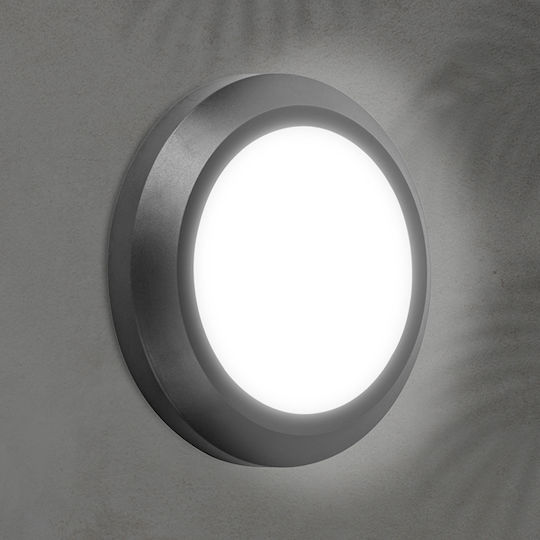 Eurolamp Wall-Mounted Outdoor Ceiling Lamp LED IP65 4W with Warm White Light 15x15x27cm