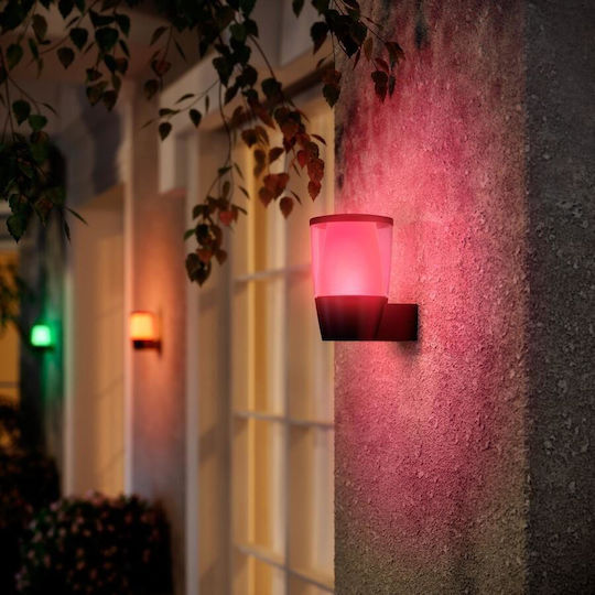 WiZ Wall-Mounted Outdoor Lighting Lantern LED 8.5W 5000K 16.4x8x13.4cm WiZ Wall-Mounted Outdoor Lighting Lantern LED 8.5W 5000K 16.4x8x13.4cm