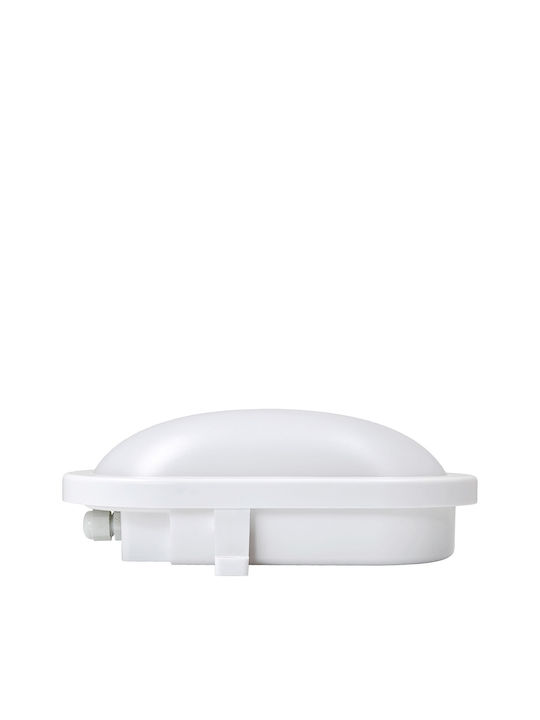 Metanor Επιτοίχια Χελώνα Εξωτερική LED IP54 8W με Φυσικό Λευκό Φως 11.7x16.8x7εκ.