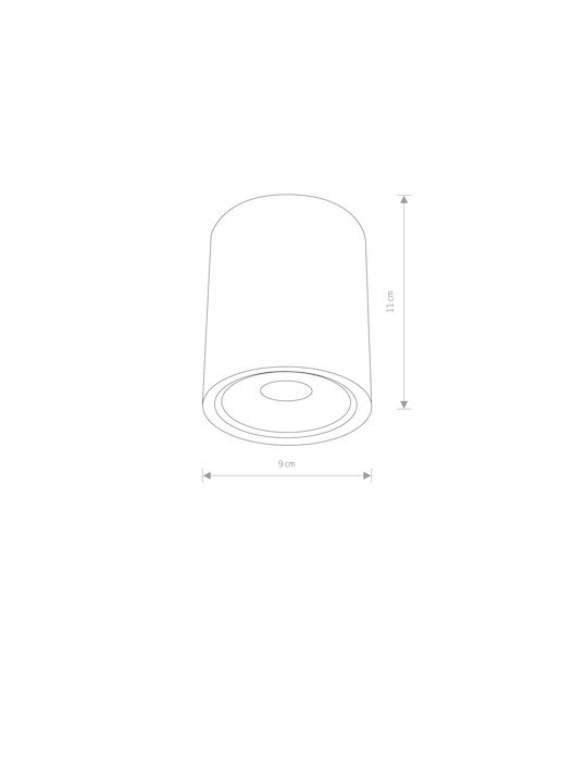 Nowodvorski Outdoor Ceiling Spot with Integrated LED in Black Color 9107