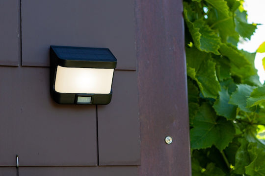 Lutec Try Wall Mounted Solar Light 8W 500lm Cold White 5000K with Motion Sensor and Photocell IP44 11.8cmx6.9cmx12.5cmcm