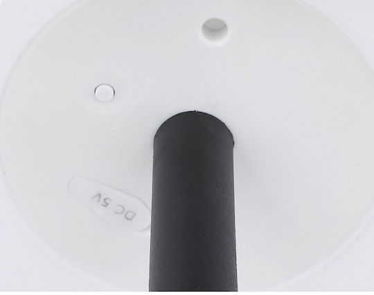 Globo Lighting Solarleuchte Boden IP44