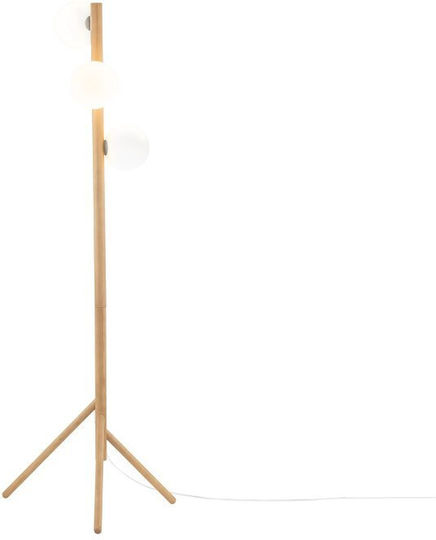 TK Lighting Estera Floor Lamp H150xW38cm. with Socket for Bulb G9 Brown