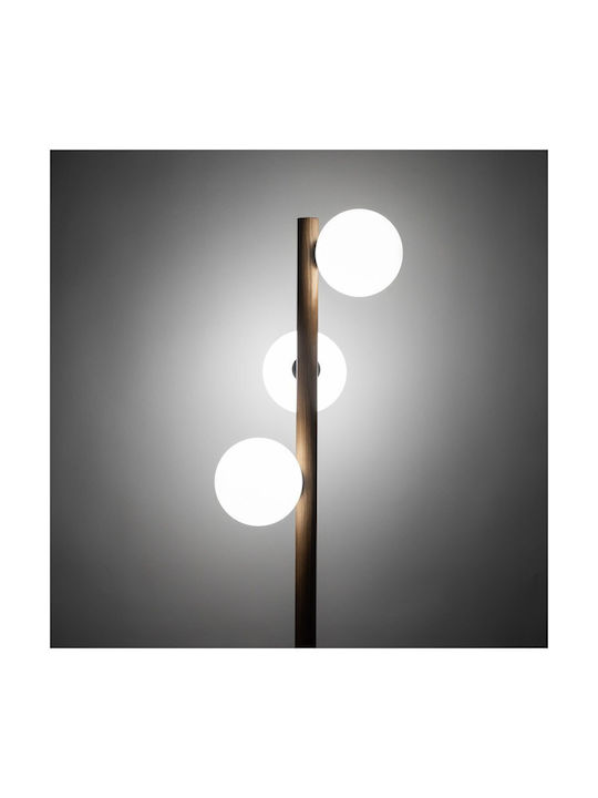 TK Lighting Estera Φωτιστικό Δαπέδου Υ150xΜ38εκ. με Ντουί για Λαμπτήρα G9 Καφέ