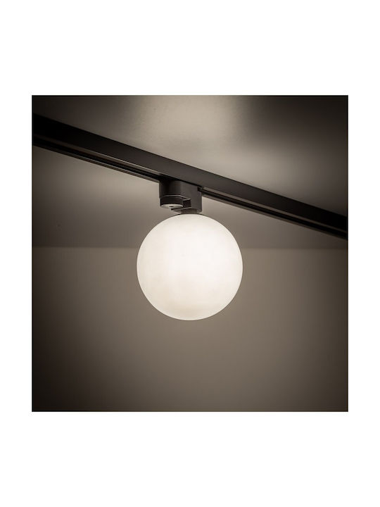 TK Lighting Единично Спот с Цокъл G9 в Черен Цвят
