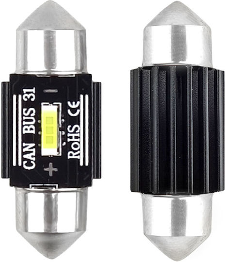 AMiO Λάμπες Canbus LED 5600K Ψυχρό Λευκό 12-24V 3.1W 2τμχ /AM