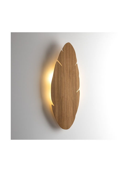 TK Lighting Hoja Μοντέρνο Φωτιστικό Τοίχου με Ντουί G9 Λευκό 24x24x5εκ.