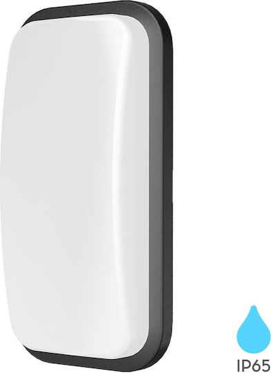 Braytron Стенно Външно Осветително Тяло IP65 23.6x11.6x6.8εκ.